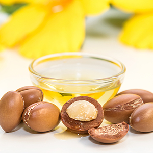 شامپو مغذی و گره گشا  موشنز Motions Nourish & Restore  حجم 384 میلی لیتر