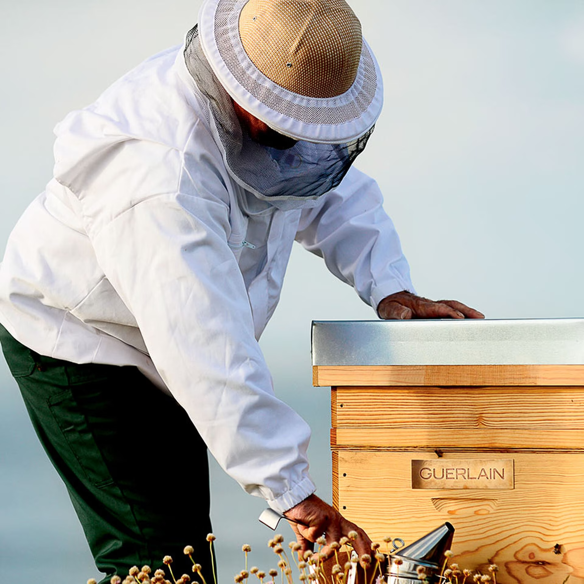 لوسیون تقویت کننده پوست ABEILLE ROYALE گرلن GUERLAIN