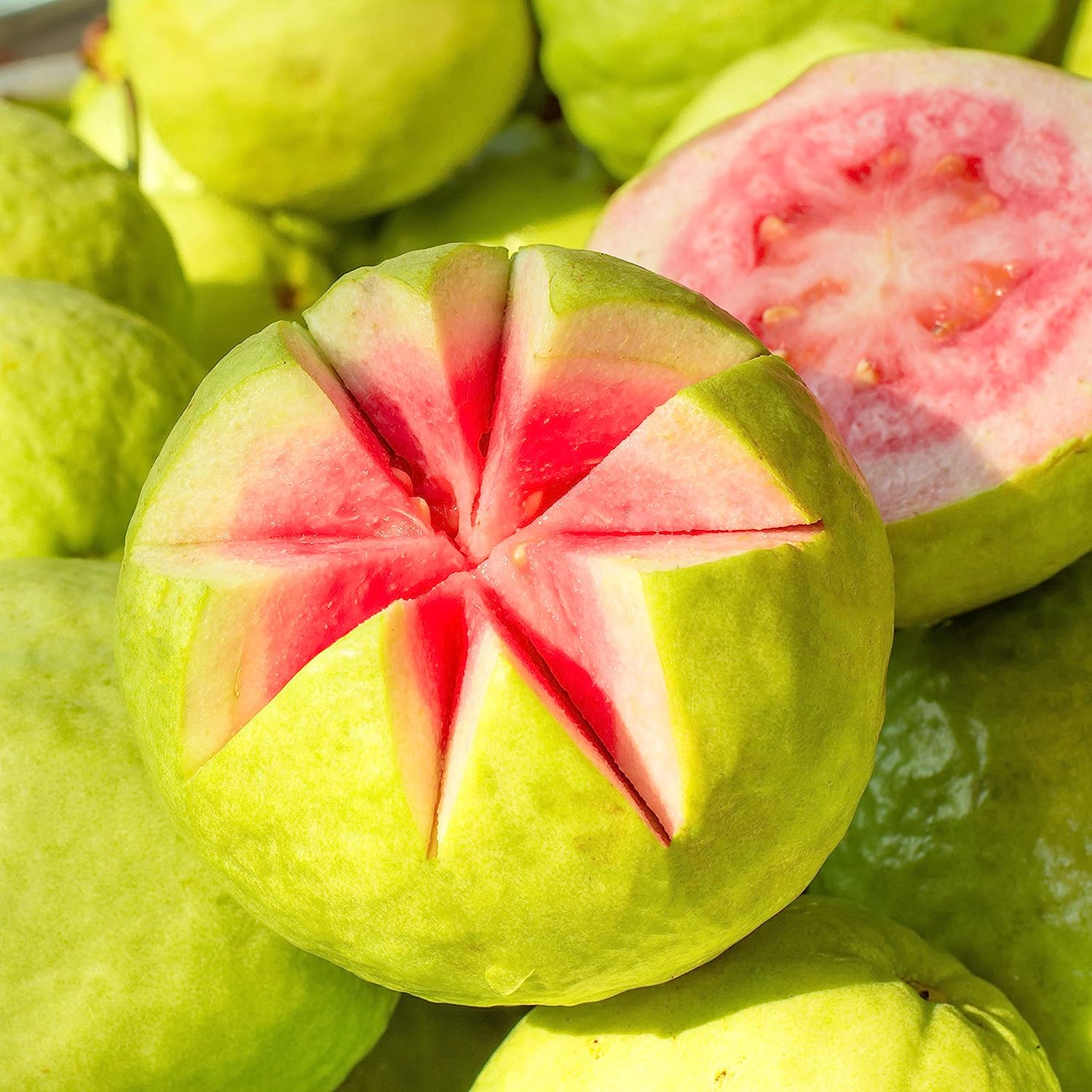 کرم بدن گواوا پتال فرش Petal Fresh Perfecting Guava حجم 237 میلی لیتر
