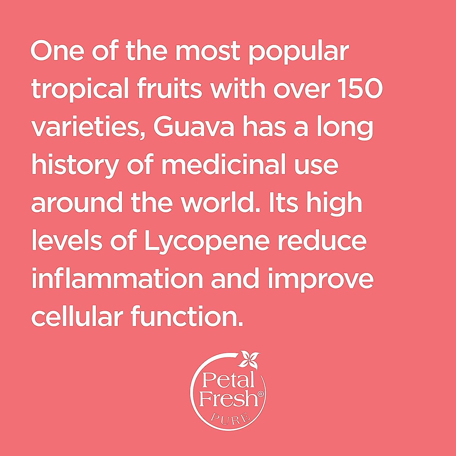 کرم بدن گواوا پتال فرش Petal Fresh Perfecting Guava حجم 237 میلی لیتر