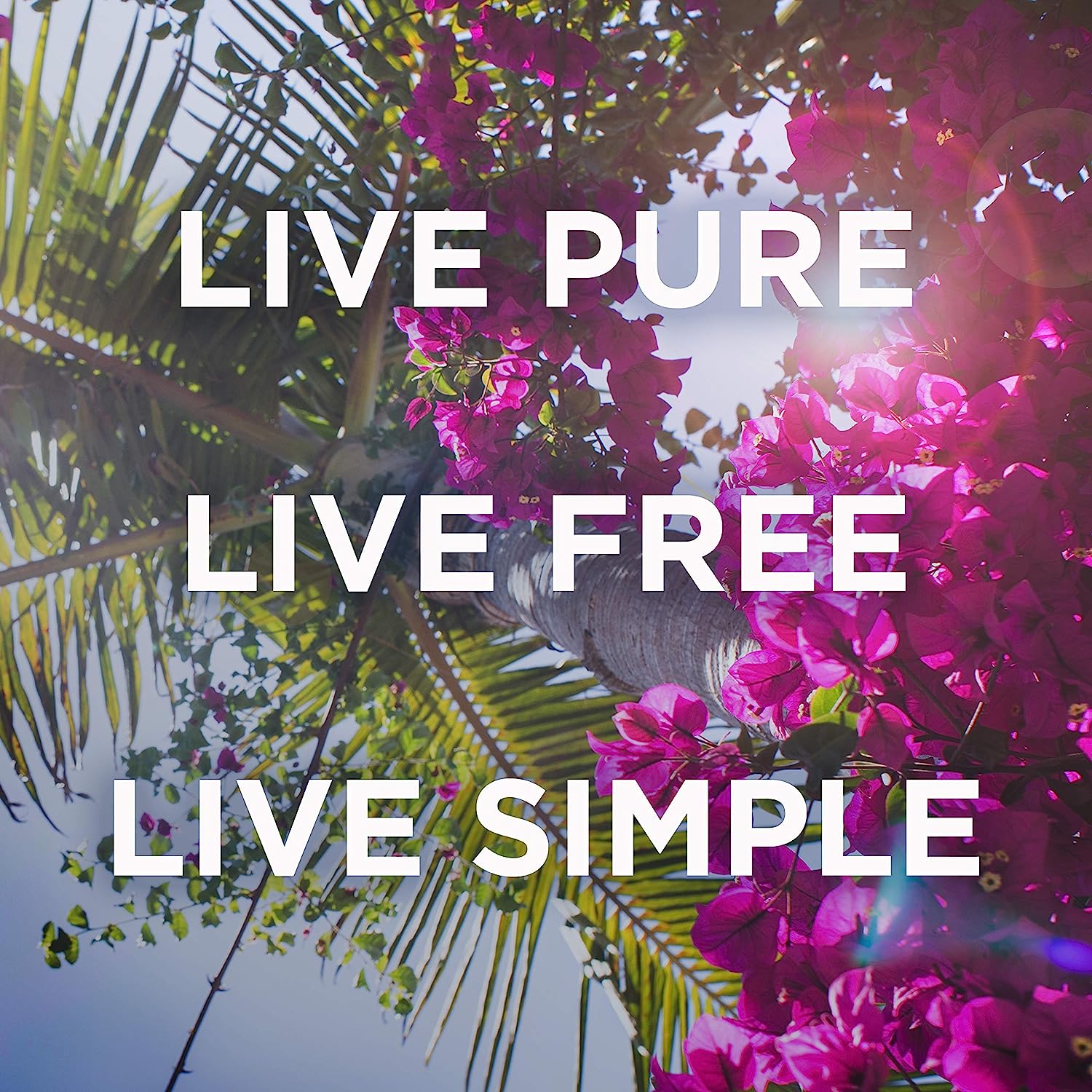 کرم بدن گواوا پتال فرش Petal Fresh Perfecting Guava حجم 237 میلی لیتر