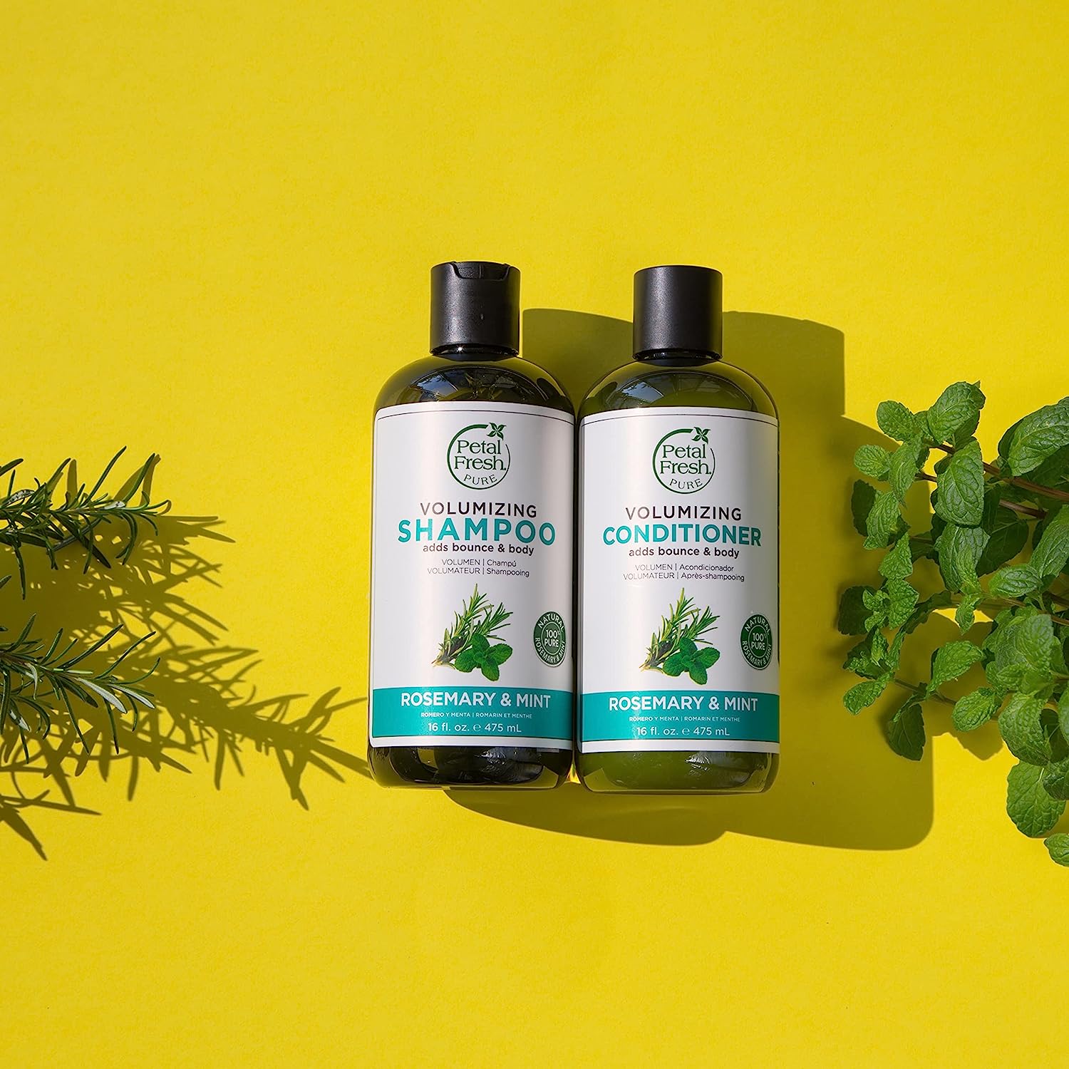 شامپو حجم دهنده رزماری و نعناع پتال فرش Petal Fresh Rosemary and Mint حجم 355 میل