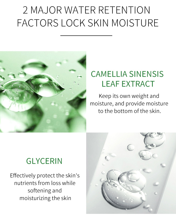 کرم مغذی و مرطوب‌کننده چای سبز دکتر راشل DR.rashel