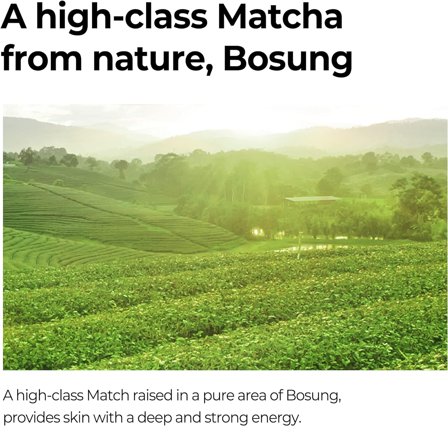 تونر کوچک کننده منافذ سوپر ماچا سام بای می