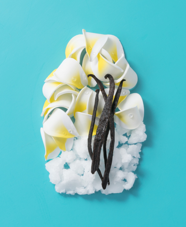 شامپو نارگیل نرم کننده موهای ضخیم او جی ایکس Ogx Coconut Miracle